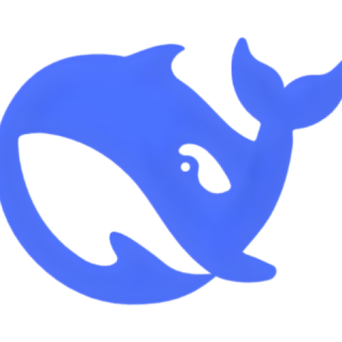 DeepSeek